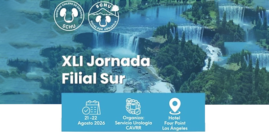 evento filial sur